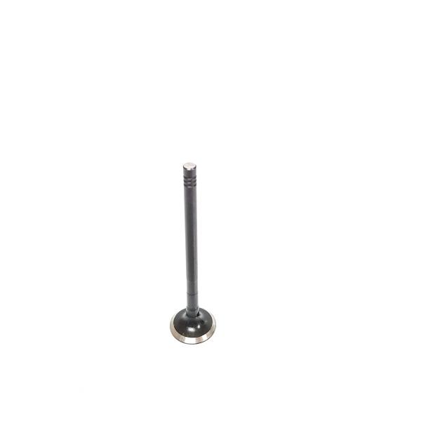 BMW 2.0D 16V Inlet Valve Fits: Series 1 3 5 7 X3 X5 X6