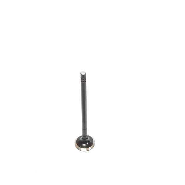 Vauxhall 1.4 1.6 16V Exhaust Valve Fits: Astra/Corsa/Tigra/Vectra/Zafira