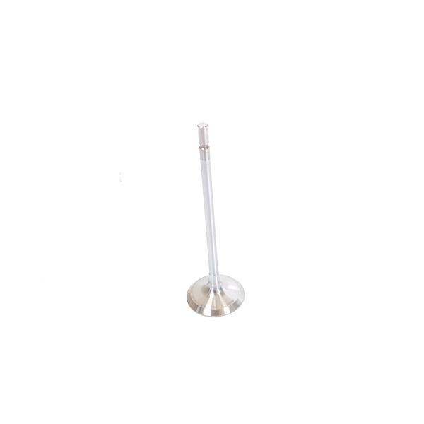 Renault 1.2 8v Exhaust Valve Fits: Clio / Kangoo / Twingo